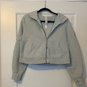 Lululemon Athletica Light Gray Cropped Hoodie
